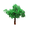 tree blowing in the wind